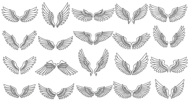 Large set of detailed hand-drawn wing illustrations in various styles and poses from spread to folded for creative character and emblem designs on white.