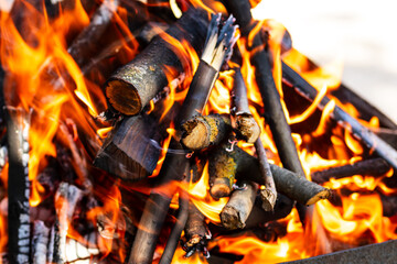 Burning wood and fire flames. Empty hot charcoal barbecue grill with bright flame
