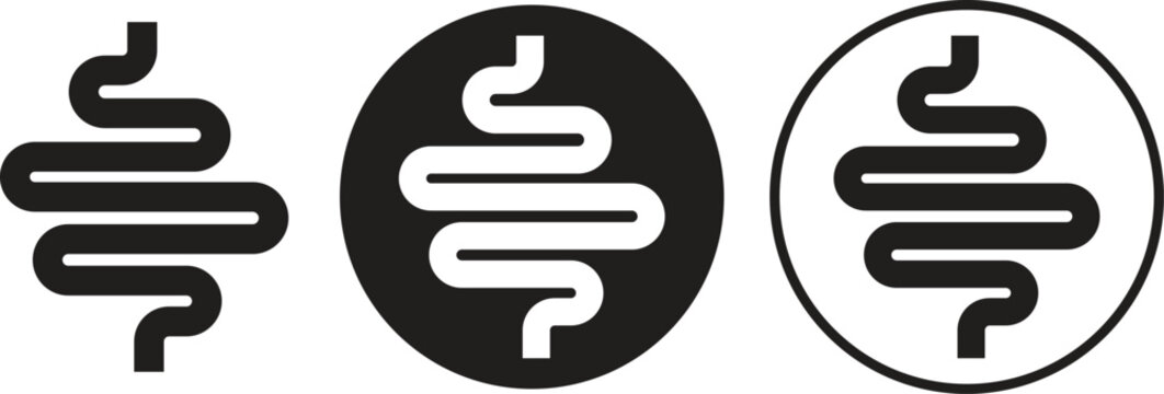 Human intestine digestive system organ icons set flat styles. Vectors graphic illustration depicting healthy gut abdomen internal body part minimalist lack elements isolated on transparent background.