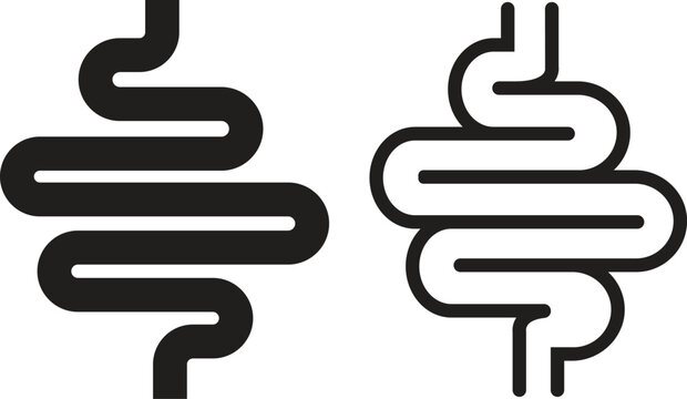 Human intestine digestive system organ flat, line icons set. Vectors graphic illustration depicting healthy gut abdomen internal body part minimalist lack elements isolated on transparent background.