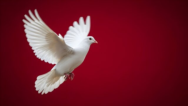 Ballena jorobada nadando bajo el agua en blanco y negro, Primer plano de cet�ceo gigante en el oc�ano profundo, retrato monocrom�tico de gran mam�fero marino bajo la superficie, ballena con rayos de l