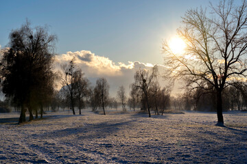 trees in winter towards the bachlight of the sunset with clouds and blue sky in a rural area and natural preserve in Lauterach in Vorarlberg Austria