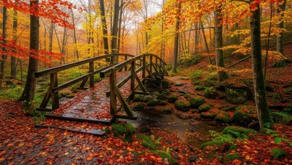 Autumn wooden bridge in a vibrant forest with colorful leaves and bubbling stream