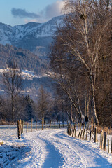 winding and curvy snow covered road towards high mountains  in winter  with high trees on both sides in a rural area and natural preserve in Lauterach in Vorarlberg Austria