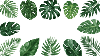 Realistic digital illustration of vibrant tropical leaves, including monstera and palm, forming an exotic botanical frame. Perfect for summer designs and natural themes