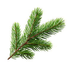 Obraz premium Fresh green pine tree branch with needles isolated on white background. Natural evergreen twig for Christmas decoration, winter holiday design and nature concept