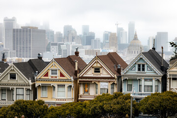 San Francisco Painted Ladies