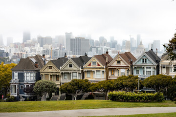 San Francisco Painted Ladies