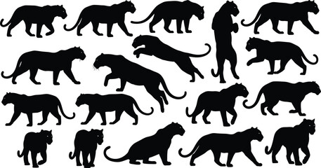 A collection of panther silhouettes in various dynamic poses and movements © Milon Store