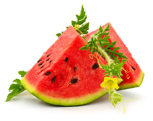 Slices of ripe watermelon with green leaves isolated on white background