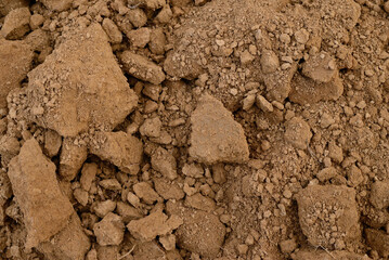 Texture of dry brown soil background