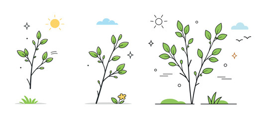 Three simple illustrations of growing plants under different weather elements