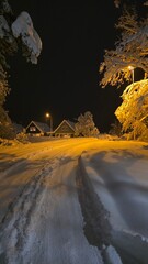 Winter night in a snow-covered street with houses and trees illuminated by lamps