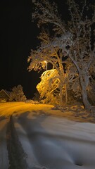 Winter night in a snow-covered street with houses and trees illuminated by lamps