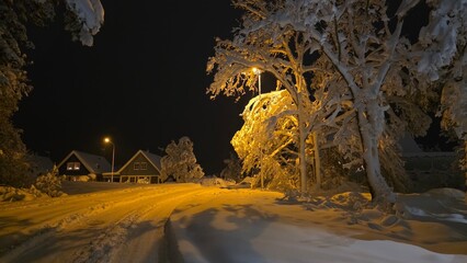 Winter night in a snow-covered street with houses and trees illuminated by lamps