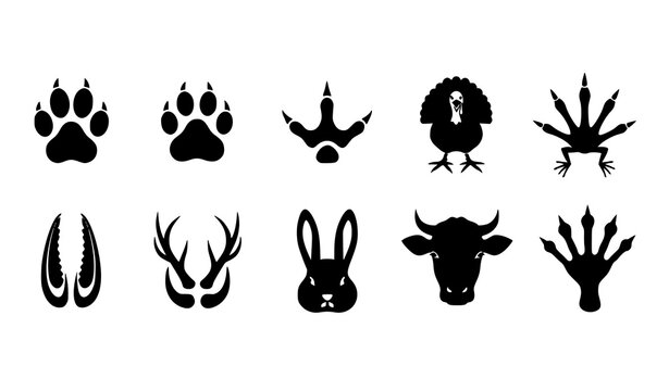 Animal footprints vector icon set with wildlife, domestic pets, and bird tracks