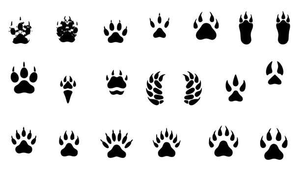 Flat animal tracks vector icon set with bird, pet, and wildlife footprints