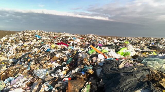 Ukraine, Ivano-Frankivsk, November 12, 2025: Millions of flies swarmed over food waste, plastic, and metal, amidst a terrible smell and toxic fumes.