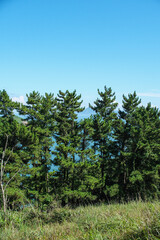 Fototapeta premium Guleopdo Island, Remote Korean Island Landscape. 굴업도 풍경, 한국 섬, 인천 섬, 서울 섬