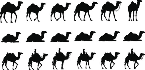 Set of black camel silhouettes, desert animal icons including dromedary walking, sitting, and rider vector illustrations for middle eastern travel and safari themes. © Moklesur