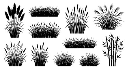 Collection of various types of grass and reeds in black and white silhouette