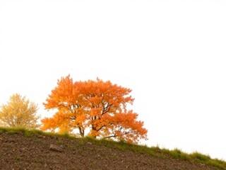 Vibrant autumn tree on hillside