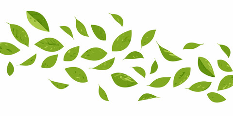 A scattering of vibrant green leaves against a clean white backdrop