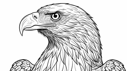 eagle head isolated on white