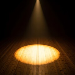Bright circular spotlight illuminates a dark wooden stage floor from above