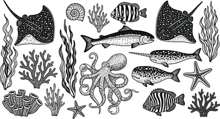 Marine life silhouette illustration, stingray vector art, octopus drawing, narwhal design, tropical fish artwork, coral reef graphic, underwater biodiversity concept image © Creative Mind