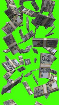 Vertical Hungarian Forint bills falling on chromakey, HUF cash rain for social media