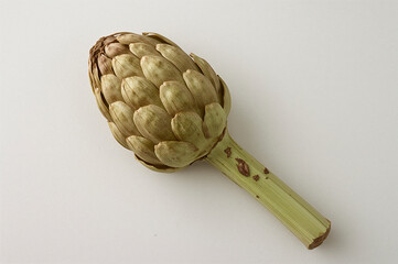 Fresh Jerusalem Artichoke on White Background, Natural Texture and Detail