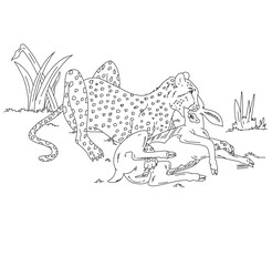 cute cartoon hand drawn vector Cheetah Hunting and eating Deer outline.