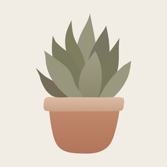 Potted Succulent Plant in Earthy Tones