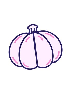 attention grabbing animation of a japanese culinary kabocha pumpkin squash