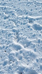 Serene Winterscape: Freshly Fallen Snow Texture with Soft Lighting and Copy Space for Seasonal Designs and Creative Projects