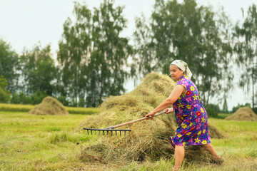 A simple rural woman gathers hay with a rake, wearing an everyday house dress. The scene shows authentic countryside life, traditional farm work, and real village living without glamour or idealizatio