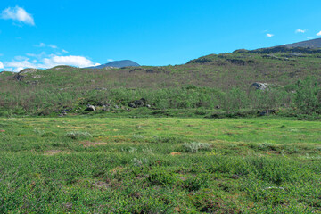 Fototapeta premium Vast Arctic Landscape of the Kungsleden Trail, Abisko Sweden, Minimal Nordic Wilderness Landscape, Kungsleden Sweden, Scenic Hiking Landscape