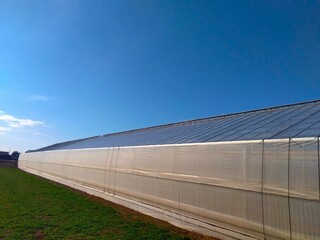 冬の朝の農業ハウス風景