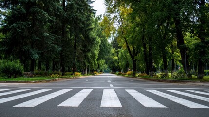 View of an empty road with a pedestrian crossing, flanked by tall trees and lush greenery, suggesting a park setting