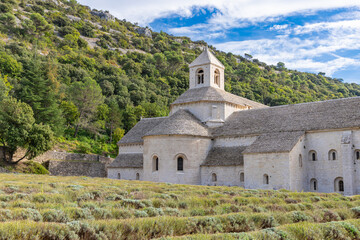 View of Senanque Abbey's stone structure rising above rows of lavender fields under a clear sky, a serene blend of nature and architecture, Gordes, Provence-Alpes-C&ocirc;te d'Azur, France.