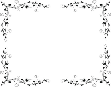 Elegant black floral vine border design with delicate leaves and swirling branches