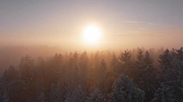 Winter at Nesodden island in Norway
