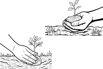 Planting Seedlings in Soil with Hands