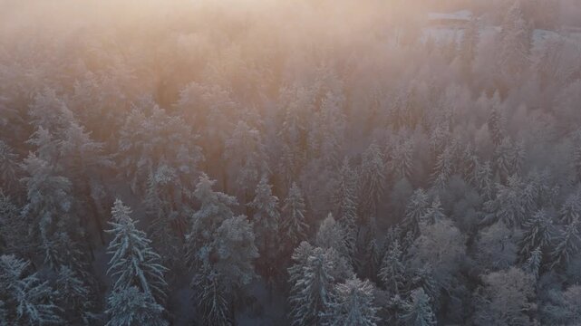 Winter at Nesodden island in Norway