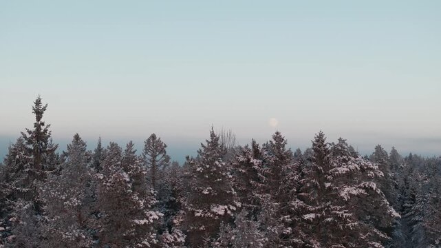 Winter at Nesodden island in Norway