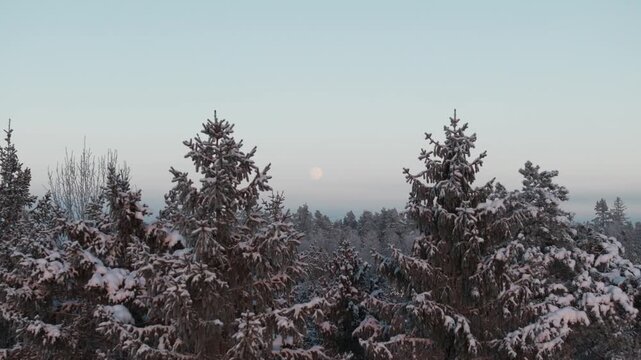 Winter at Nesodden island in Norway