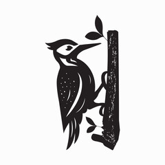 Woodpecker Bird Vector illustration for White Background