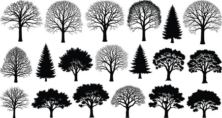 Collection of deciduous and coniferous tree silhouettes, winter bare branches and full foliage, landscape architecture elements, cad drawing flat vector illustration. © Momotaj
