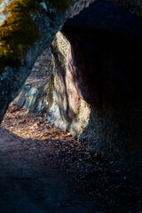 서울 숲의 겨울 이야기